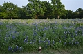 Kids_BlueBonnets_2012-II (49)